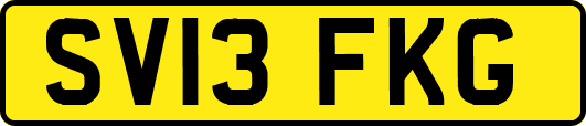 SV13FKG