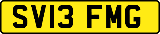 SV13FMG
