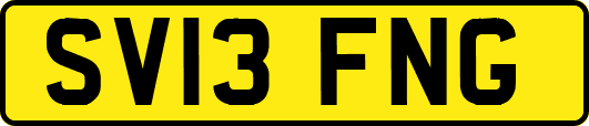 SV13FNG