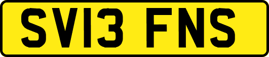 SV13FNS