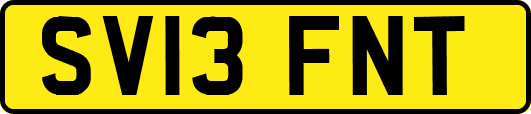 SV13FNT