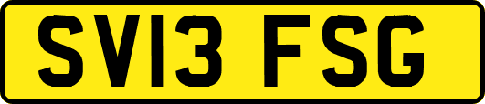 SV13FSG