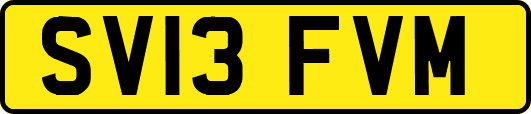 SV13FVM