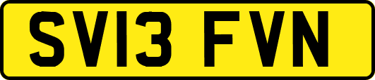 SV13FVN
