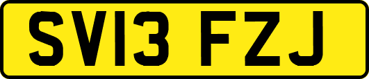 SV13FZJ