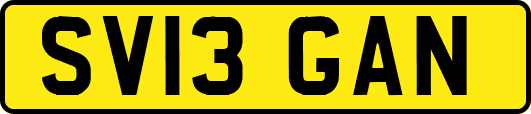 SV13GAN