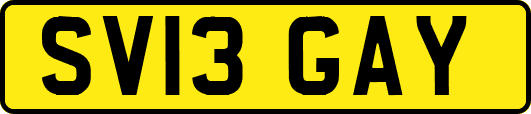 SV13GAY