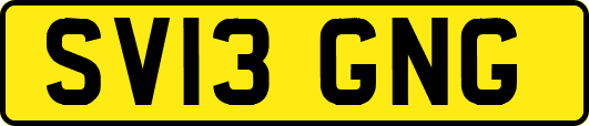 SV13GNG