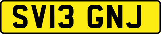 SV13GNJ