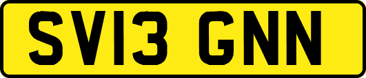SV13GNN