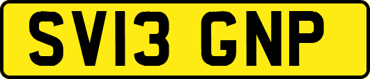 SV13GNP