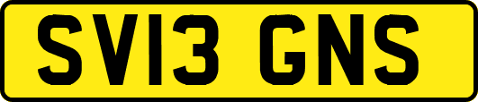 SV13GNS