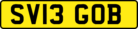 SV13GOB