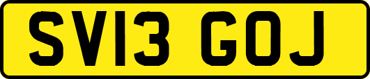 SV13GOJ