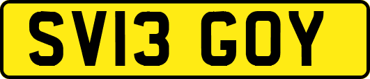 SV13GOY