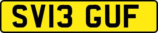 SV13GUF