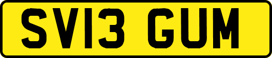 SV13GUM
