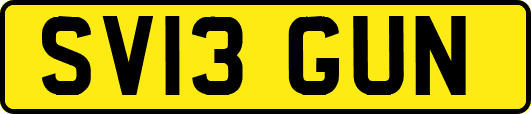 SV13GUN