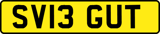 SV13GUT
