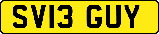 SV13GUY