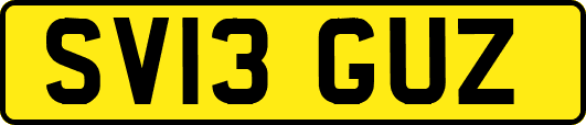SV13GUZ