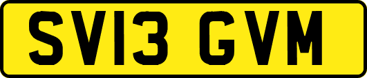 SV13GVM