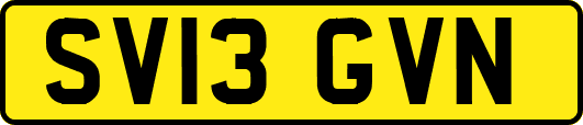 SV13GVN