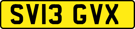 SV13GVX