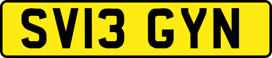 SV13GYN