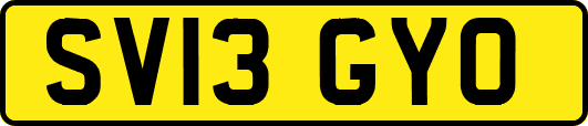 SV13GYO