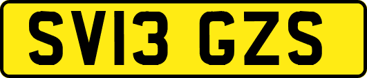 SV13GZS