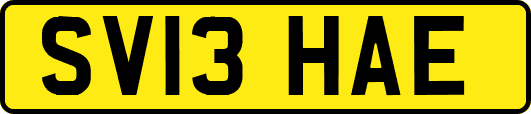 SV13HAE