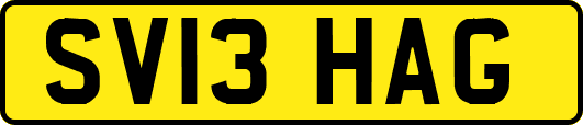 SV13HAG