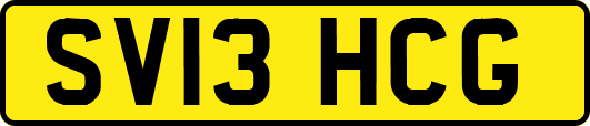 SV13HCG