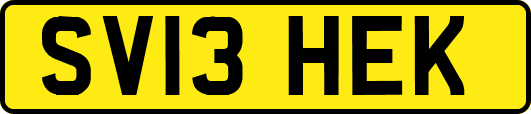 SV13HEK