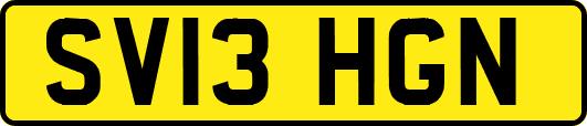 SV13HGN