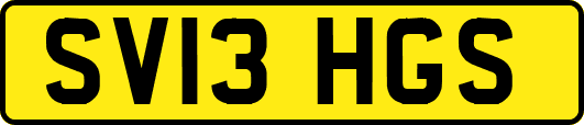 SV13HGS
