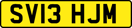 SV13HJM
