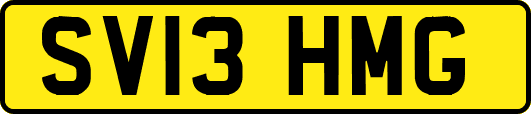 SV13HMG