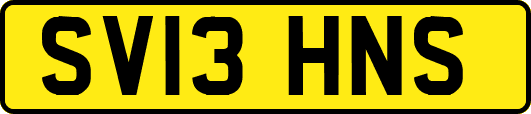 SV13HNS