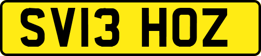 SV13HOZ
