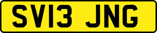 SV13JNG