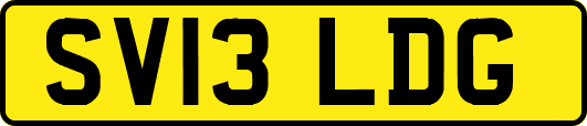 SV13LDG