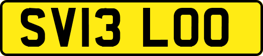 SV13LOO