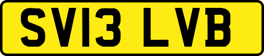 SV13LVB