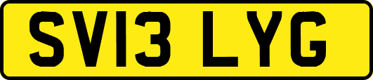 SV13LYG