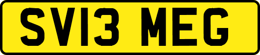 SV13MEG