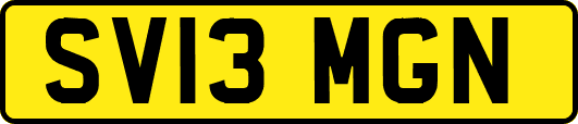 SV13MGN