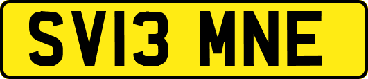 SV13MNE