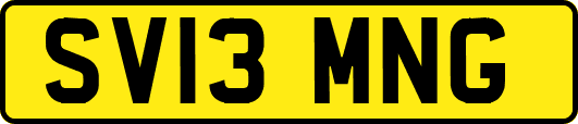SV13MNG